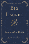 Big Laurel (Classic Reprint)