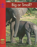 Big or Small?