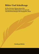 Bilder Und Schriftzuge: In Den Irischen Manuscripten Der Schweizerischen Bibliotheken Gesammelt Und Mit Bemerkungen Herausgegeben (1851) - Keller, Ferdinand (Editor)