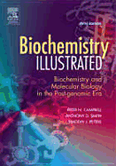 Biochemistry Illustrated: Biochemistry and Molecular Biology in the Post-Genomic Era