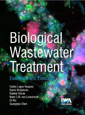 Biological Wastewater Treatment: Principles, Modelling and Design: Examples & Exercises - Lopez-Vazquez, C M (Editor), and Volcke, Eveline (Editor), and Wu, Di (Editor)