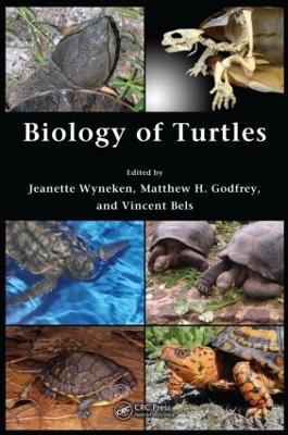 Biology of Turtles: From Structures to Strategies of Life - Wyneken, Jeanette (Editor), and Godfrey, Matthew H (Editor), and Bels, Vincent (Editor)