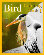 Bird Coloring Book 1