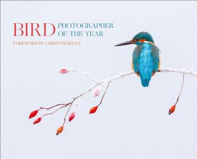 Bird Photographer of the Year: Collection 2 - Bird Photographer of the Year