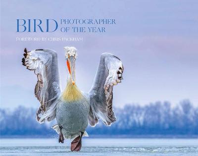 Bird Photographer of the Year: Collection 4 - Bird Photographer of the Year