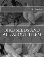 Bird Seeds and All About Them