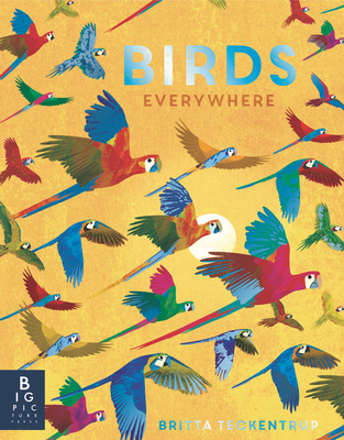Birds Everywhere - de La Bedoyere, Camilla