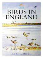 Birds in England - Brown, A F (Andy F )