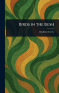 Birds in the Bush
