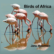 Birds of Africa