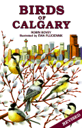 Birds of Calgary - Bovey, Robin