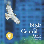 Birds of Central Park