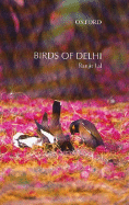 Birds of Delhi