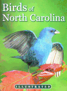 Birds of North Carolina - Smalling, Curtis (Editor), and Ohr, Tim (Text by)