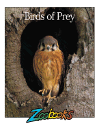 Birds of Prey - Wexo, John B