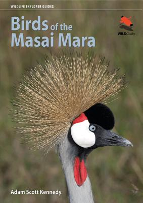 Birds of the Masai Mara - Kennedy, Adam Scott