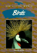 Birds - Ricciuti, Edward R