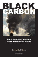 Black Carbon: Short-Lived Climate Pollutants Hold a Key to Climate Change