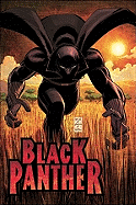 Black Panther: Who is the Black Panther