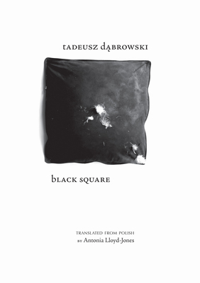 Black Square - Dabrowski, Tadeusz, and Lloyd-Jones, Antonia (Translated by)