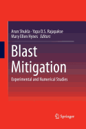 Blast Mitigation: Experimental and Numerical Studies