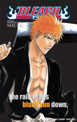 Bleach SOULs. Official Character Book - Kubo, Tite