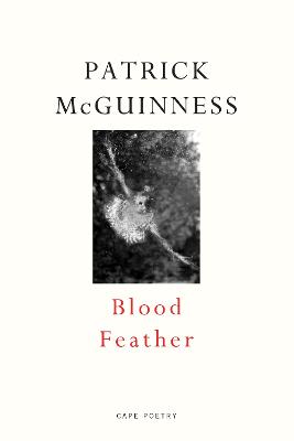 Blood Feather: 'He writes with Proustian lan and Nabokovian delight' John Banville - McGuinness, Patrick