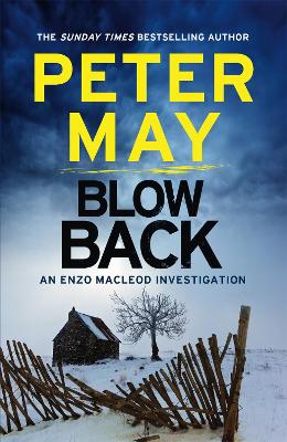 Blowback: The exciting penultimate case in the addictive crime series (The Enzo Files Book 5) - May, Peter