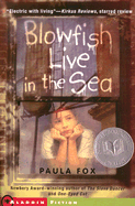 Blowfish live in the sea
