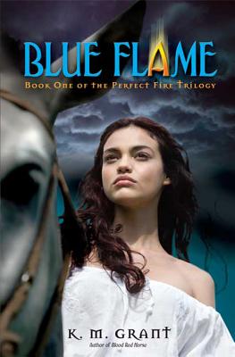 Blue Flame: Book One of the Perfect Fire Trilogy - Grant, K M