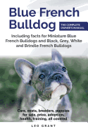 Blue French Bulldog: Care, Costs, Price, Adoption, Health, Training and How to Find Breeders and Puppies for Sale.