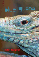 Blue Iguana