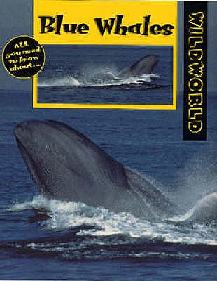 Blue Whales - Miller-Schroeder, Patricia