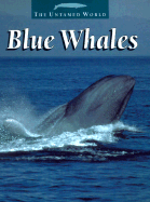 Blue Whales