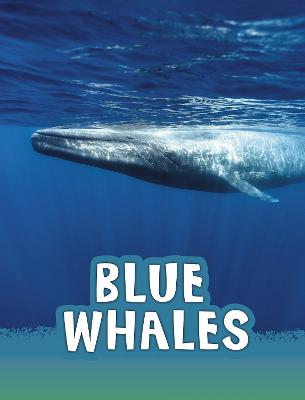 Blue Whales - Schuh, Mari