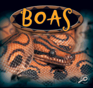 Boa Constrictors