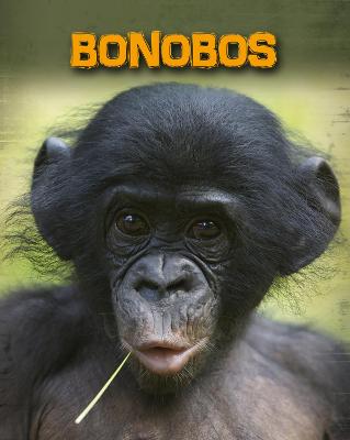 Bonobos - Silverman, Buffy