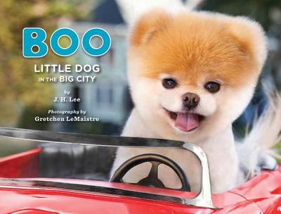 Boo: Little Dog in the Big City - Lee, J H, and LeMaistre, Gretchen (Photographer)
