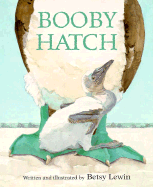 Booby Hatch CL