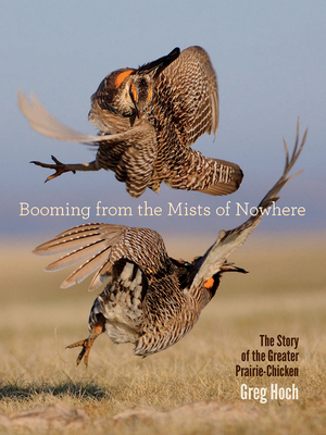 Booming from the Mists of Nowhere: The Story of the Greater Prairie-Chicken - Hoch, Greg