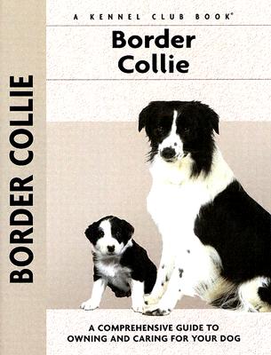 Border Collie - Sussam, Stephen