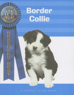 Border Collie - O'Sullivan, Caterina