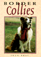 Border Collies