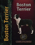 Boston Terrier