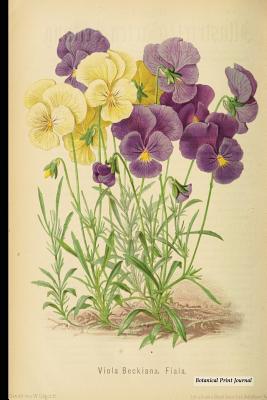 Botanical Print Journal: Viola Beckiana, 6 X 9 Vintage Botanical Flower Print Journal - [unruled/Blank/Plain/Unlined Journal] - P2g Publishing, and House of Vintage Decor