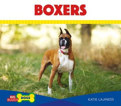 Boxers - Lajiness, Katie