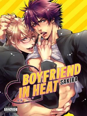 Boyfriend in Heat - Sakira