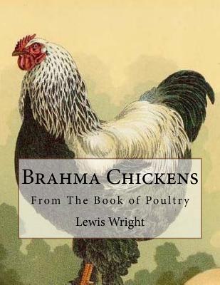 Brahma Chickens: From the Book of Poultry - Wright, Lewis, and Chambers, Jackson (Introduction by)