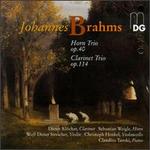 Brahms: Horn Trio; Clarinet Trio - Christoph Henkel (cello); Claudius Tanski (piano); Dieter Klcker (clarinet); Sebastian Weigle (horn);...