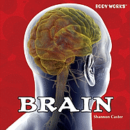 Brain